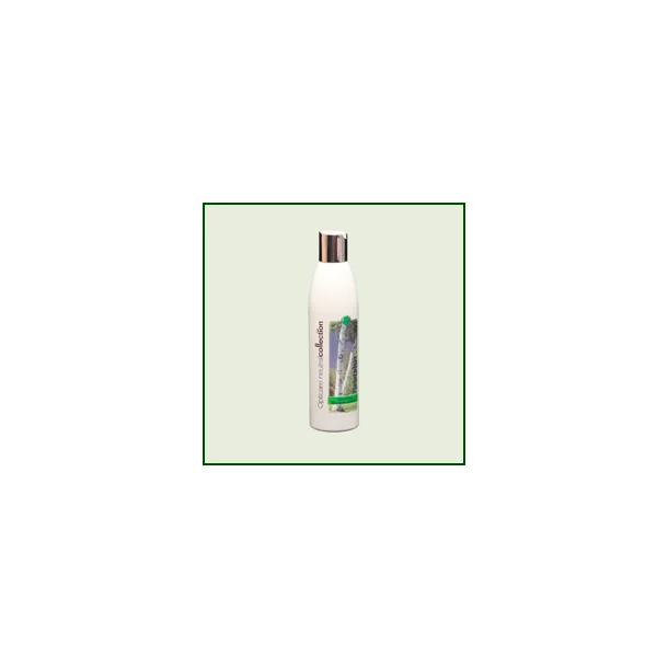 Shower Gel 250 ml